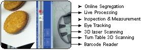 machine-vision-system